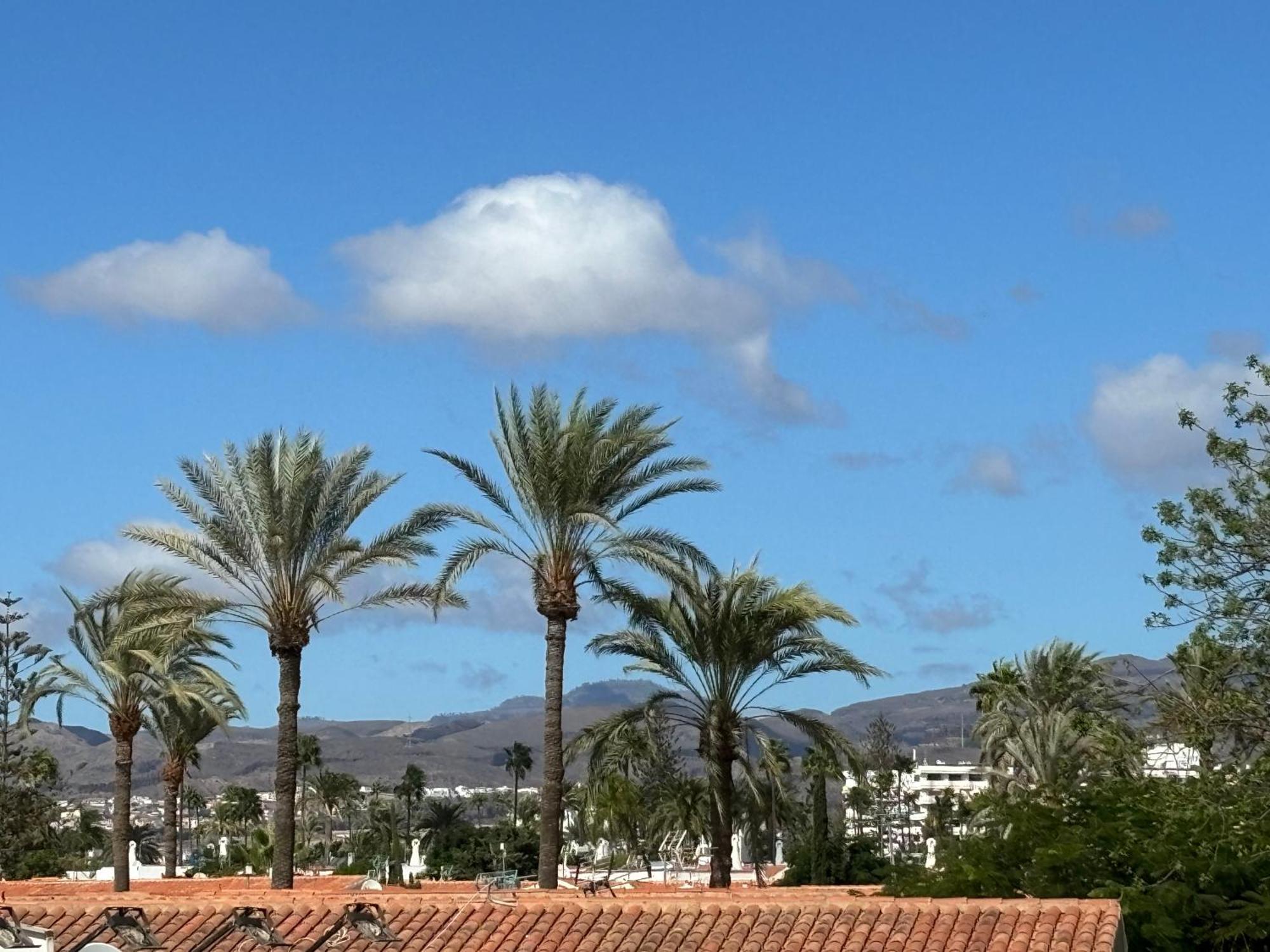 Loris Home Playa Ingles 50Mt From Yumbo By Luca Properties Gran Canaria San Bartolomé المظهر الخارجي الصورة